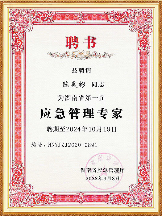 应急管理专家