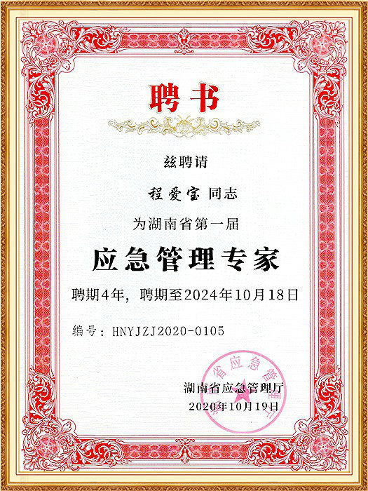 应急管理专家