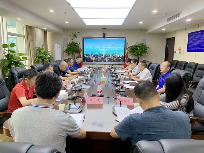 “十四五”专家评审会议